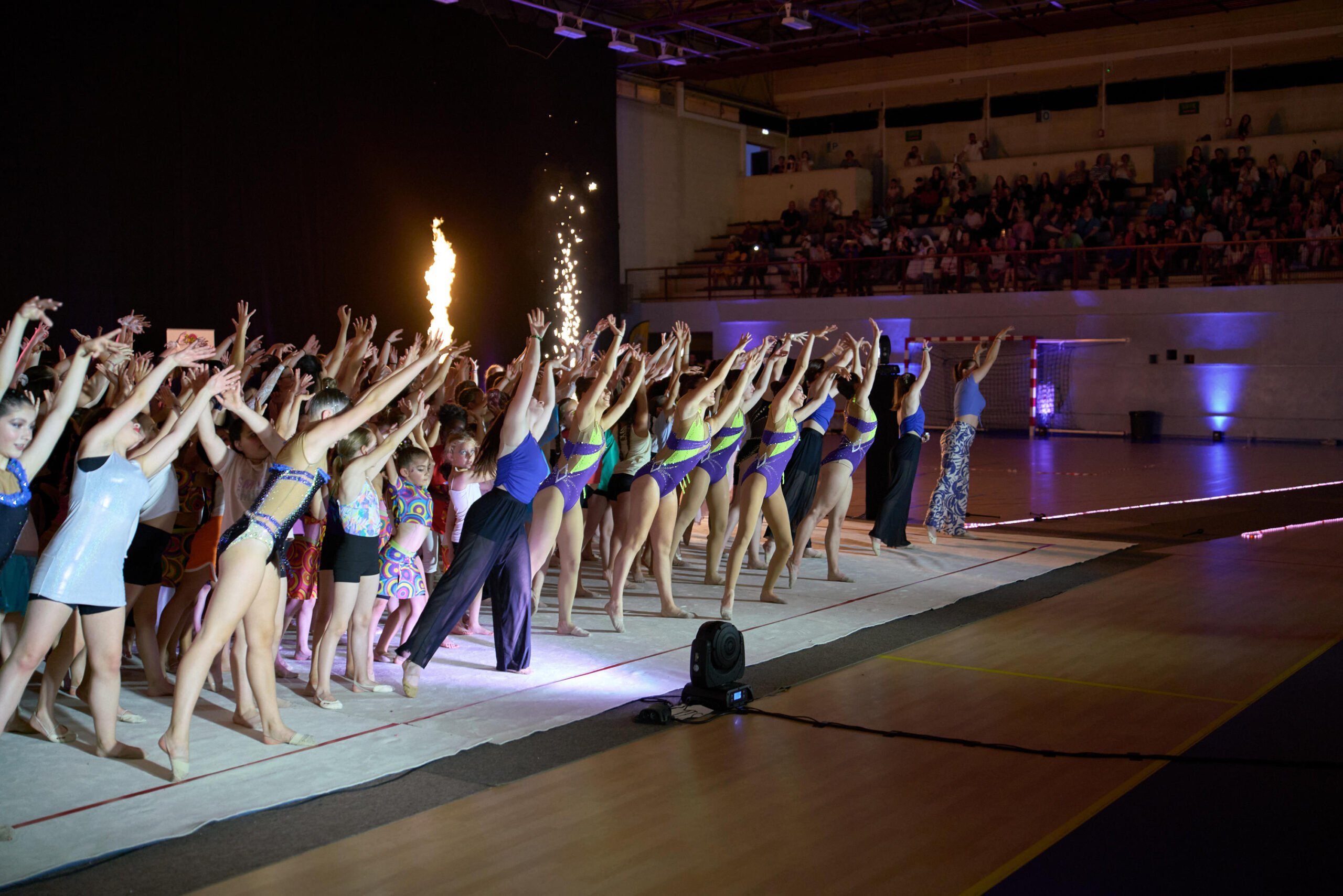 Gala Son et Lumières 2024 Jérôme Mazard